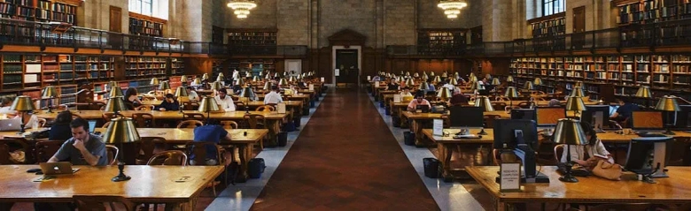 A picture of a university library: discover what academic librarians do