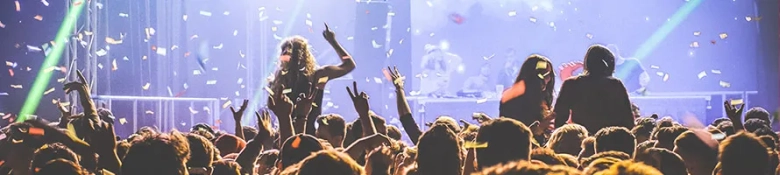 A crowd at a live music event: get a variety of events experience