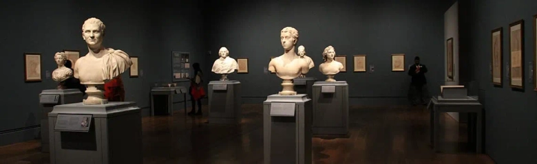 Art gallery interior with classical bust sculptures on pedestals and a visitor observing the artwork.