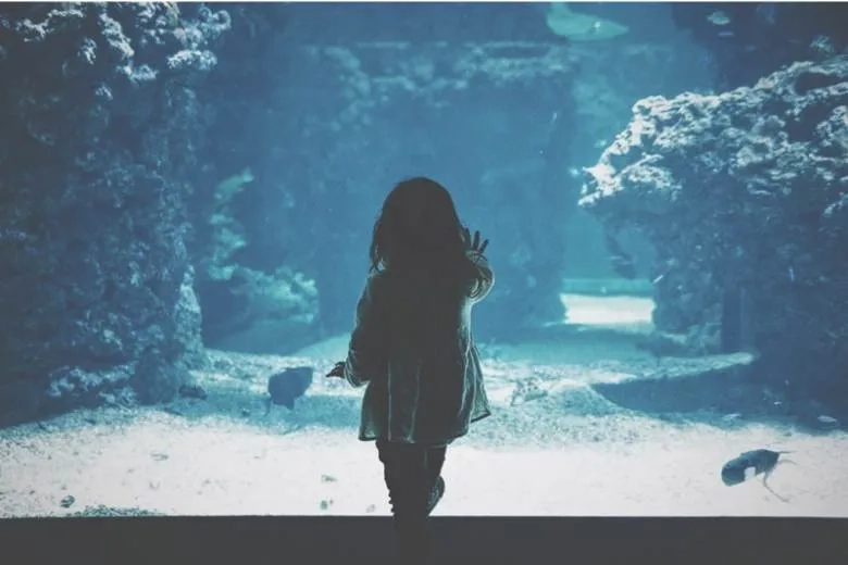 A girl standing in front of an aquarium 