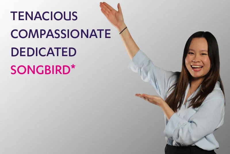 Songbird_image
