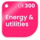 Energy & Utilities badge