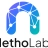 Logo image for Netholabs Ltd