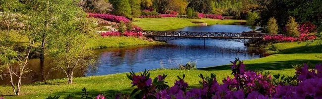 Featured image for Landscape architect: job description