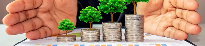 An image of money and trees