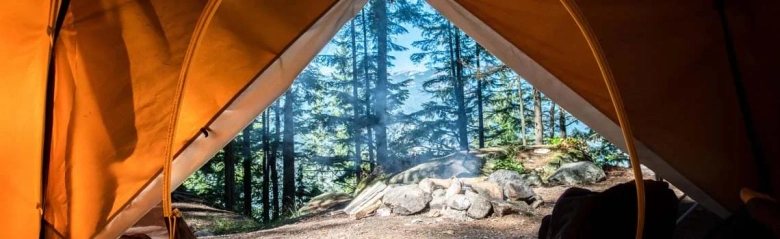 View from inside a tent opening onto a forest with sunlight filtering through trees.