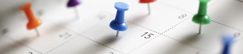 Pins in a calendar