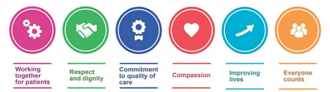 Culture & values