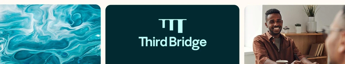Feature image Third Bridge