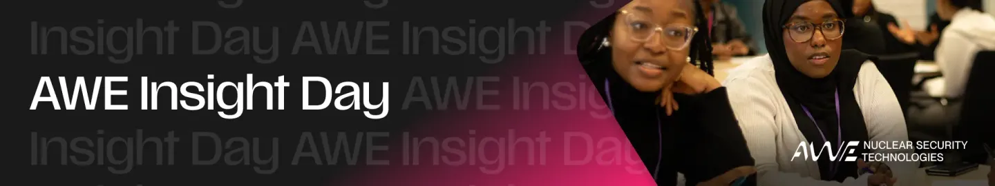 AWE - Insight Day image