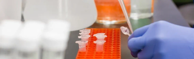Featured image for Clinical biochemist: job description