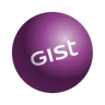 Gist Logo