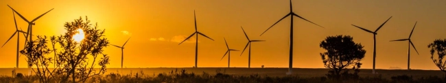 Featured image for British International Investment