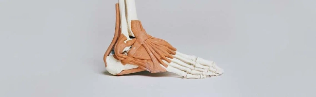 Featured image for Physiotherapist: job description