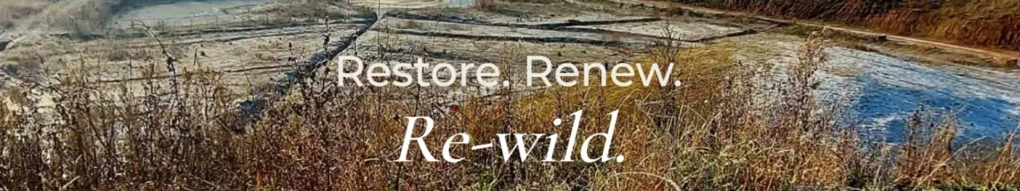 Feature image Green Earth Developments Group