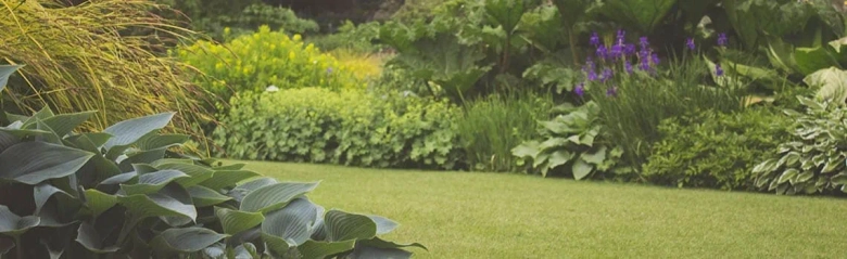 Well-manicured garden with a variety of lush plants and neatly trimmed grass.