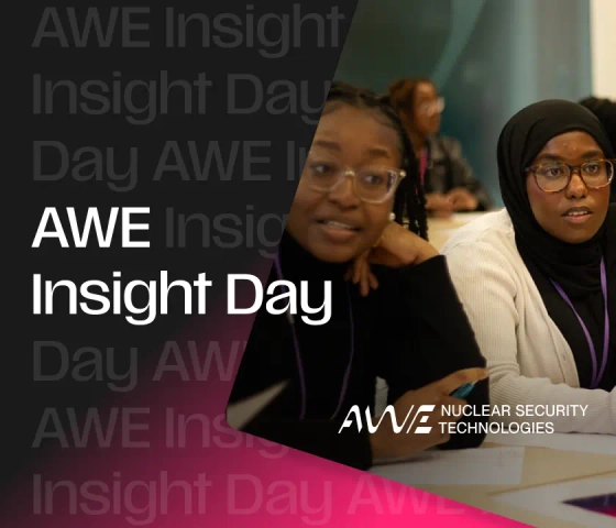 AWE - Insight Day