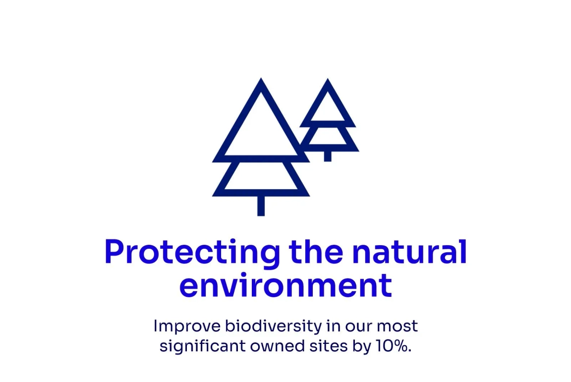 protecting the natural environment