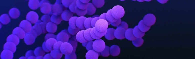  A cluster of small purple circles representing microbes under a microscope. 