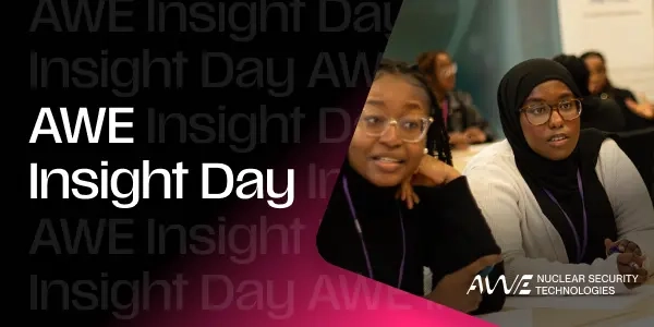 Thumbnail for AWE - Insight Day