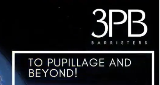 Thumbnail for To Pupillage and Beyond 