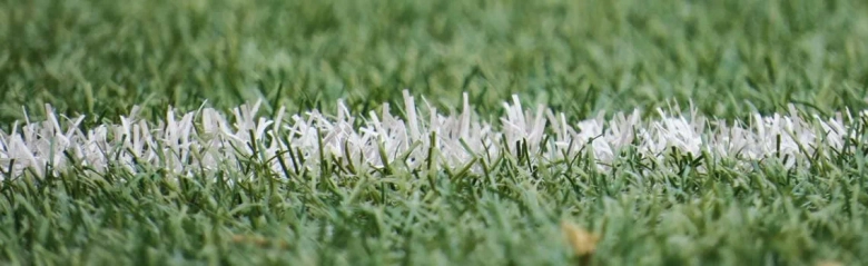 grass to represent sports and outdoor activities