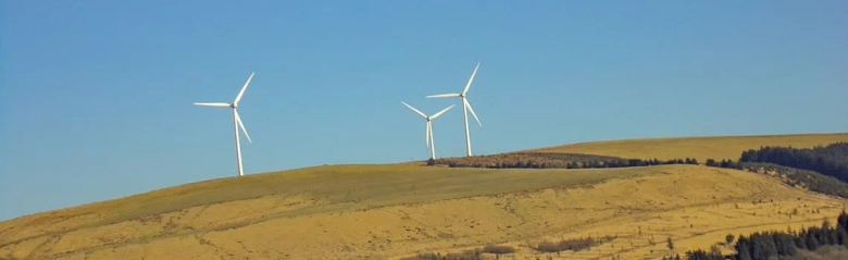 A windfarm