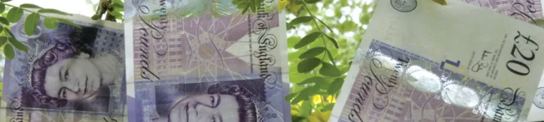 The picture shows money on a tree, representative of a graduate engineering salary. 