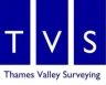 Logo image for Thames Valley Surveying Limited