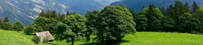 Featured image for Working in Switzerland