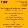 Best Equality, Diversity and Inclusion Initiative