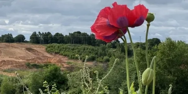 Thumbnail image for Green Earth Developments Group