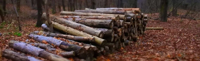 Featured image for Land-based engineer: job description