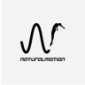 NaturalMotion Logo